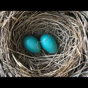 Meet your Posher, Mary jo